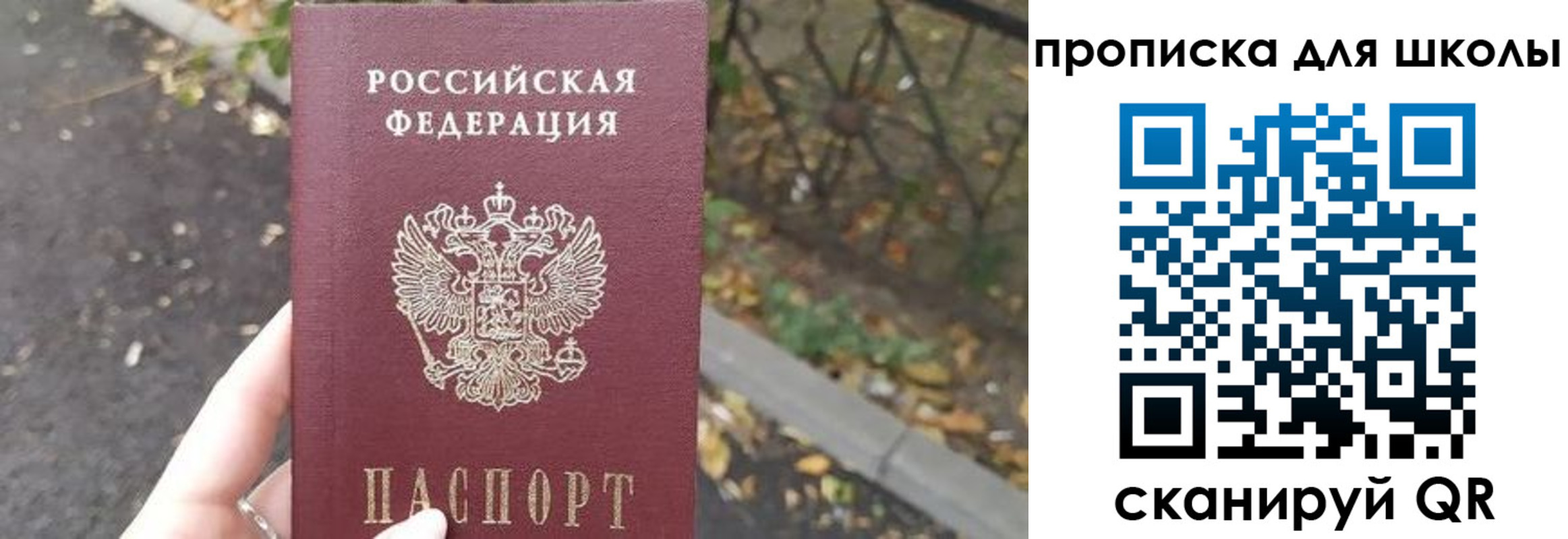 временная регистрация гарантия в Алексеевке